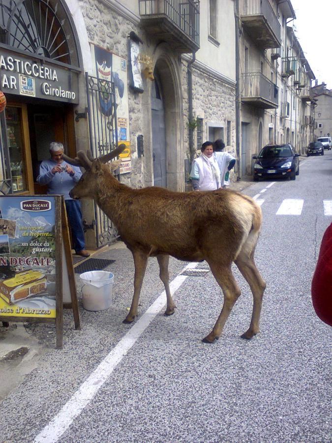 Hotel Il Vecchio Pescatore Villetta Barrea Exteriör bild